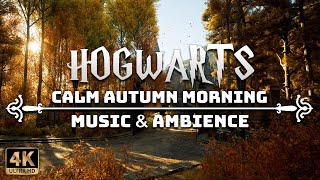 A Calm Autumn Morning at Hogwarts  4K Harry Potter Music amp Ambience [upl. by Aleina764]