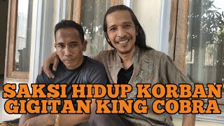 BEGINI KONDISI JAGAD MUDA SETELAH TERGIGIT KING COBRA HELENA [upl. by Vorster]