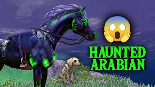 Star Equestrian  Haunted Arabian [upl. by Nodgnal]