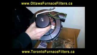 Fasco a163 furnace exhaust motor Lennox Armstrong Johnson FBRFB54770219450 Canada ottawa [upl. by Suivatnod]