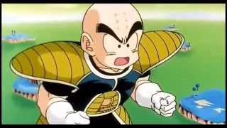 Krillin Solar Flare HD [upl. by Hodges]