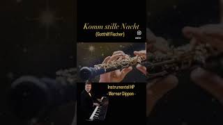 KOMM STILLE NACHT Gotthilf Fischer  Instrumentel  Werner Dippon … [upl. by Blount]