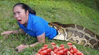 FULL VIDEO 120 Days Harvesting Fruits and Vegetables Go to market sell  Daily life  Lý Tiểu Anh [upl. by Nuriel]