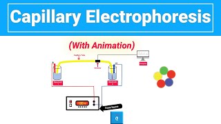 Capillary Electrophoresis with animation [upl. by Ojillek]