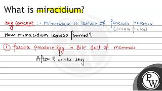 What is miracidium [upl. by Okram495]