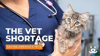 The nationwide veterinarian shortage [upl. by Murial]