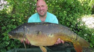 Carp Fishing Farnham Angling Society  Carp And Catfish [upl. by Glover801]