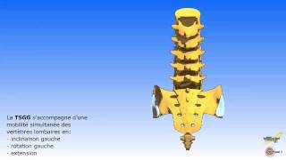 Les mouvements associés du sacrum et du rachis lombaire [upl. by Lindberg]