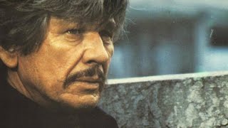 LOVE AND BULLETS 1979☆CHARLES BRONSON☆VISITA NUESTRO BLOG👇👇⤵🔻 [upl. by Eisej]