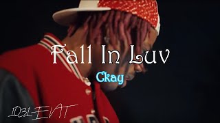 Ckay  Fall in Luv Music video  lyrics [upl. by Enyaw]