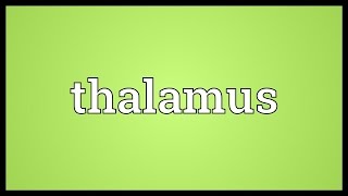 Thalamus Meaning [upl. by Crenshaw]