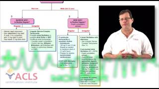 Tachycardia Review by ACLS Certification Institute [upl. by Volotta]