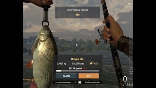 Fishing Planet – How to catch Unique Ide at GhentTerneuzen Canal Netherlands [upl. by Yna]