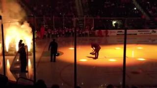 2017 AHL All Star Weekend  Lehigh Valley  Mascot Introductions [upl. by Eniamat980]