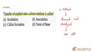 Transfer of explant onto culture medium is called [upl. by Rockwood]