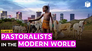 Pastoralists in the Modern World Introduction  Chapter 5  History  Class 9  PuStack [upl. by Narak]