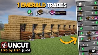 Villager Trading Hall Tutorial in Minecraft 121 the cheapest ever [upl. by Rehpatsirhc650]