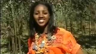 Traditional amharic Music Manalemosh Dibo Gonder [upl. by Sato]