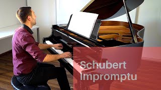 Schubert Impromptu Op 90 N 2 [upl. by Arikahc]