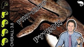 Childrens Python The Best Pet Snake [upl. by Sellma]