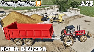 Spreading manure plowing harvesting wheat  Nowa Bruzda  Farming simulator 19  Timelapse 25 [upl. by Yekciv952]