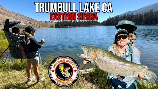 Trumbull lake Ca  Virginia lakes   Bridgeport  Eastern Sierra jigging for trophy trout [upl. by Hathaway]