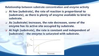 B73 Describe the relationship between substrate concentration and enzyme activity [upl. by Kennith]