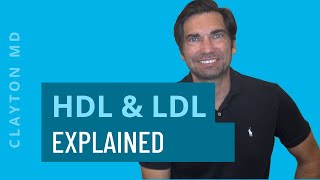 Understanding HDL amp LDL Cholesterol – Cholesterol Ratios Explained [upl. by Atrice]