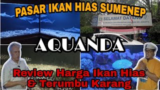 GUDANGNYA IKAN LAUT HIAS‼️Sumenep [upl. by Mcleod]