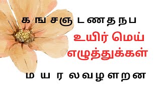 தமிழ் உயிர்மெய் எழுத்துக்கள்  உயிர்மெய் எழுத்துக்கள் UyirMei Ezhuthukkal  Learn Tamil Alphabet [upl. by Gerty]