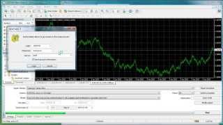 MT4 Backtest of Offline Charts like range bars Renko bars or constant volume bars [upl. by Ecienal]