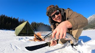 SOLO Winter Backpacking amp TROUT FISHING Small Creeks Catch Camp Cook [upl. by Avah]