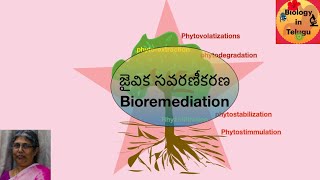 జైవికసవరణీకరణ  Bioremediation [upl. by Veta]