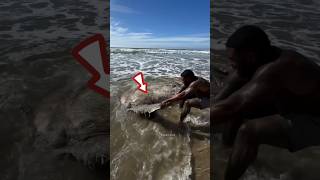 Strange Fish Found on Seashore shortsvideo [upl. by Naamann]