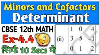 Minors And Cofactors In Determinant in Hindi  NCERT 12 Maths  NCERT Ex44 Intro [upl. by Peisch11]