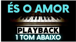 ÉS O AMOR  Playback Gabriela Rocha 1 TOM ABAIXO [upl. by Verger]