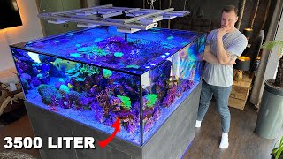 GERMAN REEF TANKS  massive saltwater aquarium 920 gallon private tour [upl. by Daberath265]