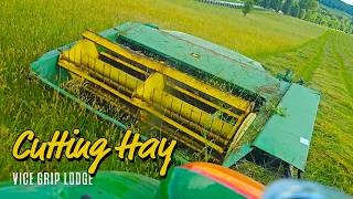 Cutting Hay With A CHEAP John Deere Hay Conditioner [upl. by Awhsoj616]