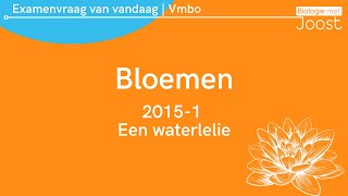 9 Examenvraag van vandaag  Vmbo  20151 Een waterlelie [upl. by Lyred]