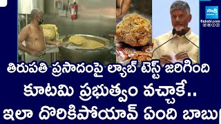 Chandrababu Spread Fake News On Tirupati Prasadam  Tirumala Laddu Prasadam SakshiTV [upl. by Emile684]