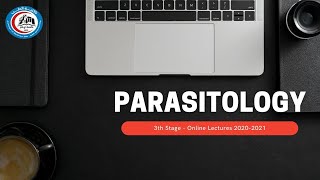 Parasitology  Coccidia Part 2  د أمل خضير [upl. by Negeam]