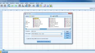 Get these SPSS data files for free [upl. by Yelsha]