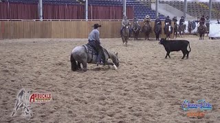 2022 Arbuckle Mountain Futurity 4YO Open Champion Wes Galyean Riding Third Edge [upl. by Ainer]