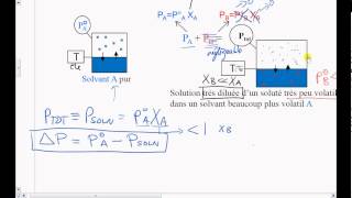 15Prop Coll  Abaissement de Pression de vapeur déquilibre [upl. by Rinum]