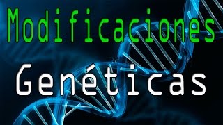 ⏱️ Inicio de la biotecnología moderna  En 1 minuto [upl. by Dami]