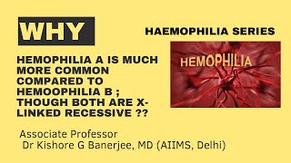 Why Hemophilia A is much more common compared to Haemophilia B [upl. by Onaicnop]