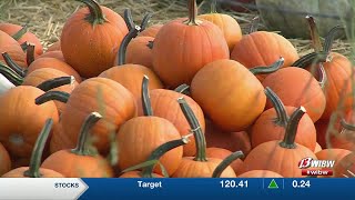 With fall just around the corner Topeka family farm offers pumpkins fresh produce [upl. by Arvy]