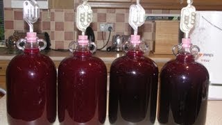 How to Make Elderberry Wine [upl. by Tillinger]