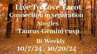 ♉️ Taurus ♊️ Gemini cusp love reads🍁They do care deeply🍁 [upl. by Nnazus510]