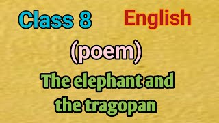 Class 8 English The elephant and the tragopan poem NCERT [upl. by Russi541]